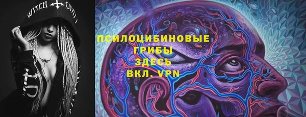 гашик Балахна