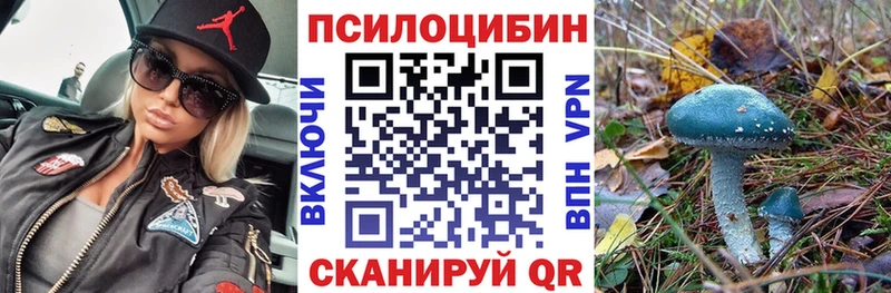 Псилоцибиновые грибы MAGIC MUSHROOMS  как найти закладки  Болгар 